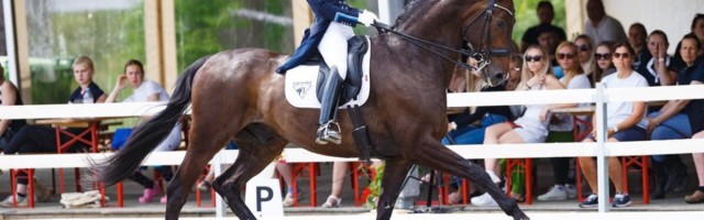 CHI Pärnu koolisõidu MK avapäeva parim eestlane oli Dina Ellermann CHI Pärnu koolisõidu MK avapäeva parim eestlane oli Dina Ellermann