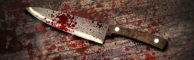 Reporter: Joomakaaslase tapnud 23-aastane pani sokkide väel ja verisena sündmuskohalt plehku