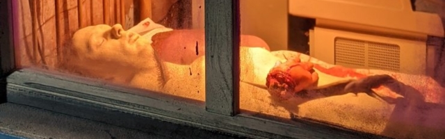 Ämblikud, tuli, surm, hirm ja kõhedus - AHHAA uus näitus on foobiatest