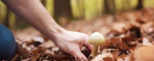 Seenehooaeg on toonud esimesed rasked mürgistusjuhud