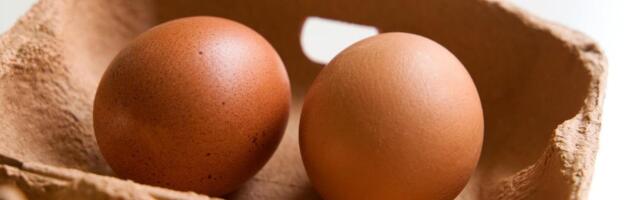 Munarestid jäid kodus üle? Tore lihavõttemäng, mis lapsed nutiseadme tagant õue viib