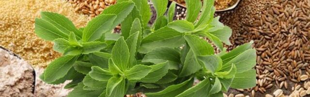 Oluline teave madalate süsivesikute, kortisooli ja glükoosi kohta