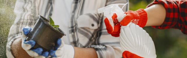 Põllumajandus- ja Toiduamet: taimekaitsevahendite järjekorra vähendamine on prioriteet