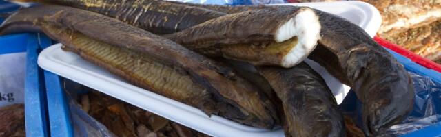 TURUKOMMENTAAR | Kalafestival valmistas pettumuse