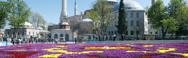 Tulpide kodu on Türgi, mitte Holland: milliseid lillevälju Istanbulis imetleda?