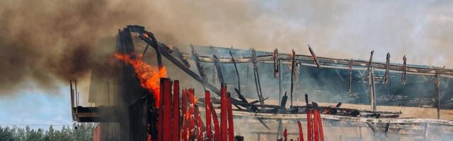 Tööriistade liitiumakud põhjustavad üha enam raskeid ja mürgiseid põlenguid