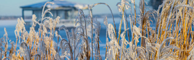 Talv oli külm ja päikeseline