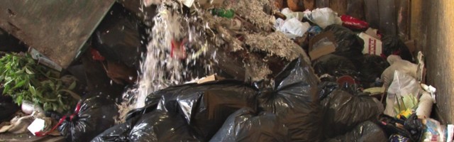 Reporter: Riigikontrolli audit näitab, et Eestis ei vasta prügi sorteerimine arenenud riikide nõuetele