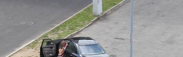 VIDEO | Mees kaevas Sõpruse puiesteel keset tihedat liiklust roosipõõsaid välja