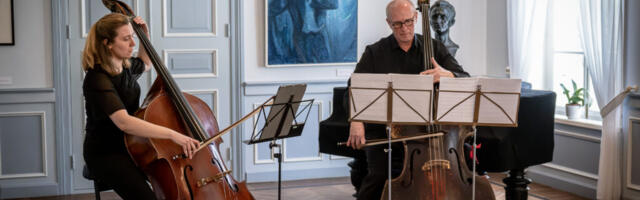 Pikas Majas avati maalinäitus pillidest