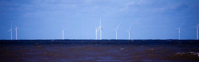 Meretuuleparkide arenduste võimalik mõju Eesti mereelupaikadele