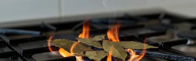 Põleta pliidil 5 loorberilehte – see, mis juhtub, võib sind üllatada