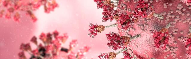 Terviseameti kinnitusel sai omikrontüvest domineeriv tüvi