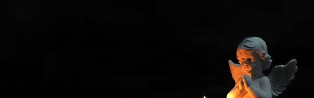 SURI TUNNUSTATUD muusik Riho Sibul