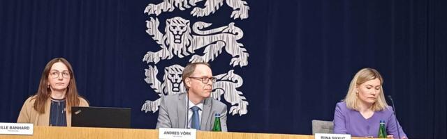 Lisaraha tuleb leida, allikaid ja ideid on mitu