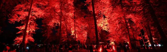 FOTOD | Tõeline vaatemäng! Kadrioru valgusfestivali avapäev meelitas parki suure rahvahulga