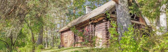 Hull pakkumine: Tallinnast mõnusa autosõidu kaugusel on müüa väga hea hinnaga eriti omapärane maakodu