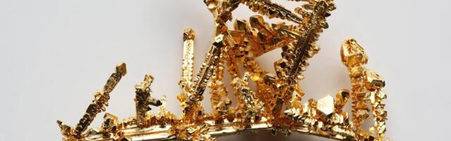 Teadlased leidsid seene, mis sööb kulda ja sellele on juba leitud rakendus