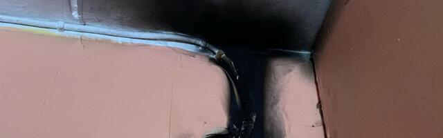 Roosna-Allikul läks pistikupesa kärssama