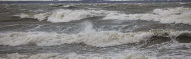 ILMATEADE | Nädalavahetusel sajab lund ja tuul puhub kuni 20 m/s. Teed muutuvad libedaks!