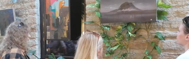 FOTOD | Rotermanni kvartali Palmigalerii uus näitus viib vaataja värviküllasesse tundemaailma