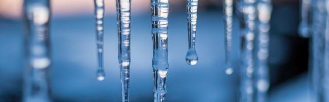 ILMATEADE | Märts algab selle aasta kõige soojema ilmaga