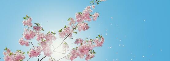 SUUR KEVAD HOROSKOOP 2026