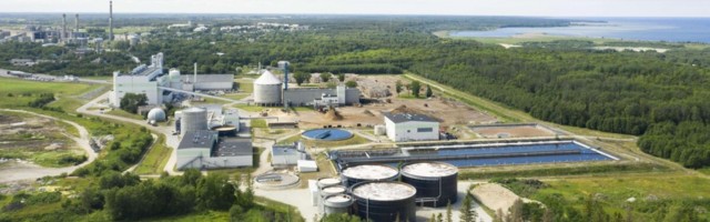 Estonian Cell pälvis aasta keskkonnasõbraliku ettevõtte tiitli