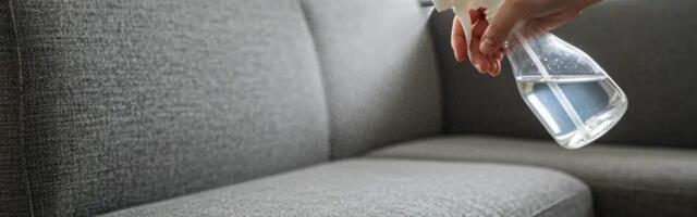 Pihusta äädikat diivanile – tulemus võib sind tõeliselt üllatada