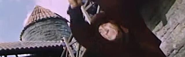 MEEDIAVALVUR: keskaegse metsikuse renessanss tänapäeva Eestis