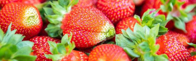 HINNAÜLEVAADE | Üllataja on peakapsas, mille hind on aastaga kerkinud poole võrra