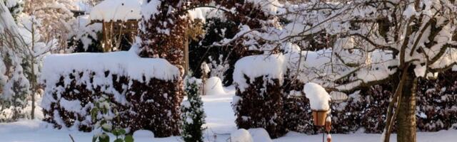Paks lumekiht teeb aias nii head kui halba