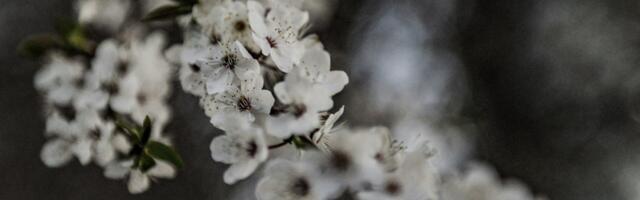 PÄEVAHOROSKOOP: esmaspäev, 5. mai