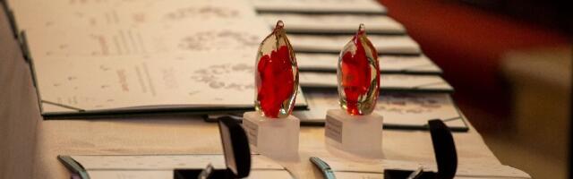 Vaata, kes pälvivad tänavused Paide linna tänukirjad ja südamemeened