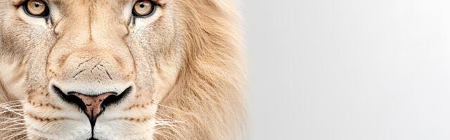 Astroloogid paljastavad: need 4 tähemärki on kõige võimsamad kogu sodiaagis