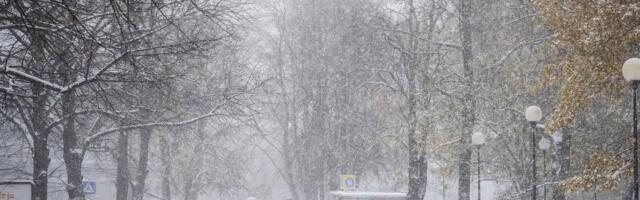 ILMATEADE | Ka uue nädalal sajab vihma, lörtsi ja lund. Õhutemperatuur tõuseb aga jõudsalt