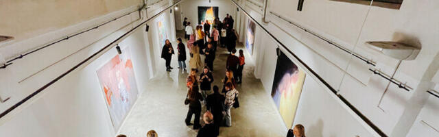 Galerii: Brenda Purtsaku ja Marleen Suvi näitus "Ja-ga-tud"