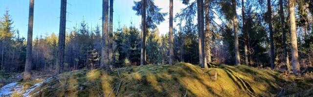 Laserkiired on toonud Eestis päevavalgele sadakond kääbast