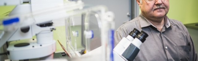 Viroloog Andres Merits: on suur viga arvata, et koroonaviiruis on leebemaks muutunud
