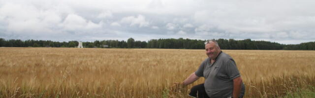 RIKKALIK HOOAEG | Teraviljakasvataja hindab tänavust saaki heaks