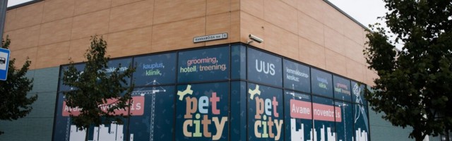 PetCity lemmikloomapoed ja Wolt loovad Tallinnas uue kullerteenuse