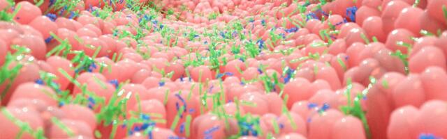 Uuring: soole mikrobioomi mõjutavad nii elustiil, tervis kui ka ravimid