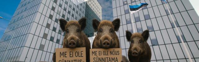 Kas ministrihärra ajas segamini metssead ja merisead?