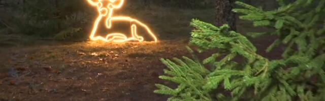 RMK kutsub külastuskeskuste jõulutulesid nautima