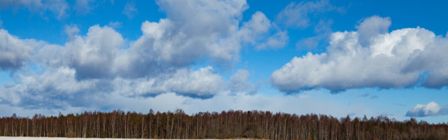 Ivan Makarov: üks lai asi selle kitsas tähenduses