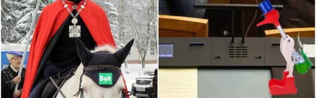 Riigikogulased asendatakse 101 puust kanaga, et ka teised saaksid Repinski eeskujul valijate hingeelu süvitsi uurima minna