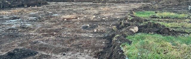 KRISTI VAKS: Pärtlepõllu arendus – kas Tammelaane 2.0?