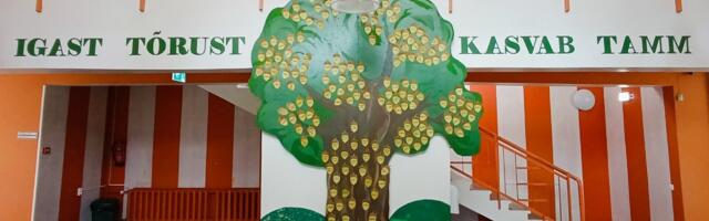 Paide Kunstikooli Aravete õppekoht ootab õpilasi