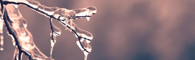 Lätis purunes külmarekord: -32 kraadi