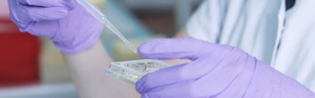 Eesti inimesed said mullu varasemast enam viljatusravi